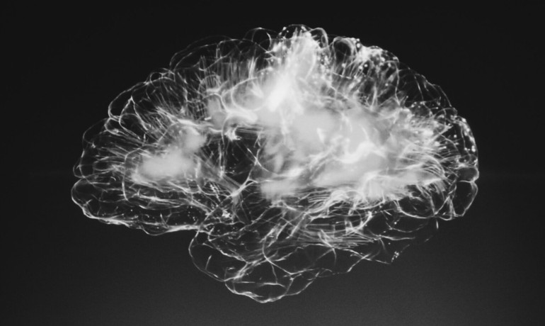 Can The Brain Be Stretched?